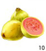 Guava