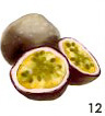 Passion Fruit