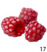 Raspberry