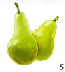 Pear