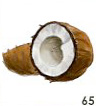 Coconut