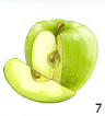 Green Apple