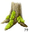 Tree Moss